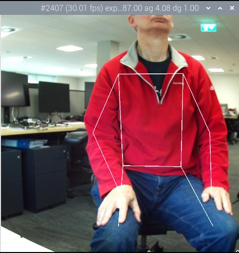 一个成年人类男性的姿势估计